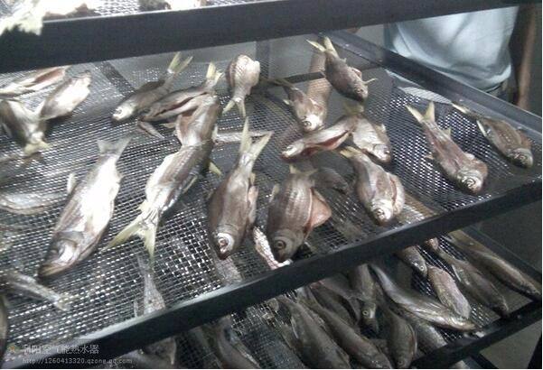 海產(chǎn)品烘干魚(yú)類(lèi)烘干設備多少錢(qián)一臺